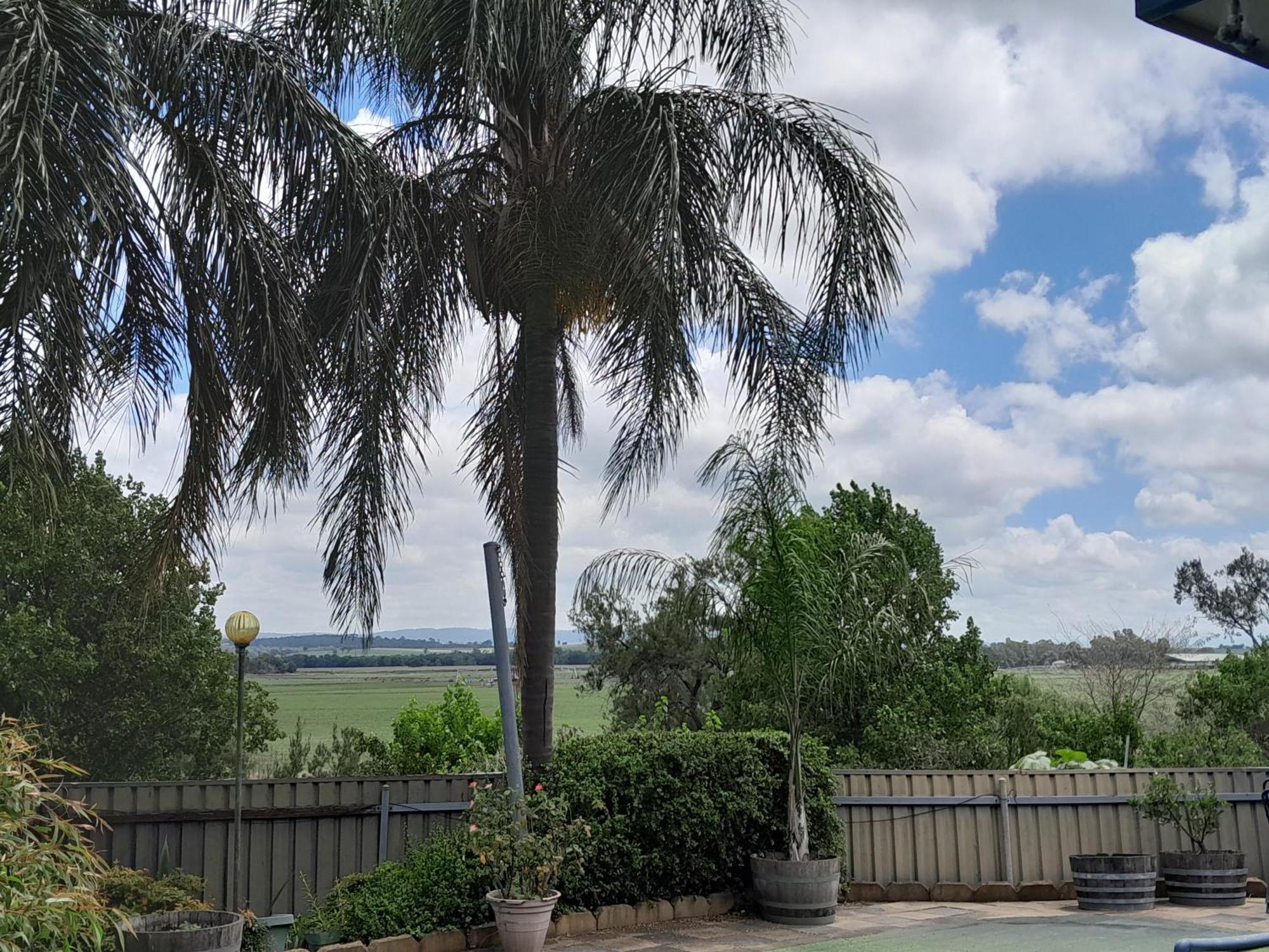 Muswellbrook Northside Bed & Breakfast Экстерьер фото