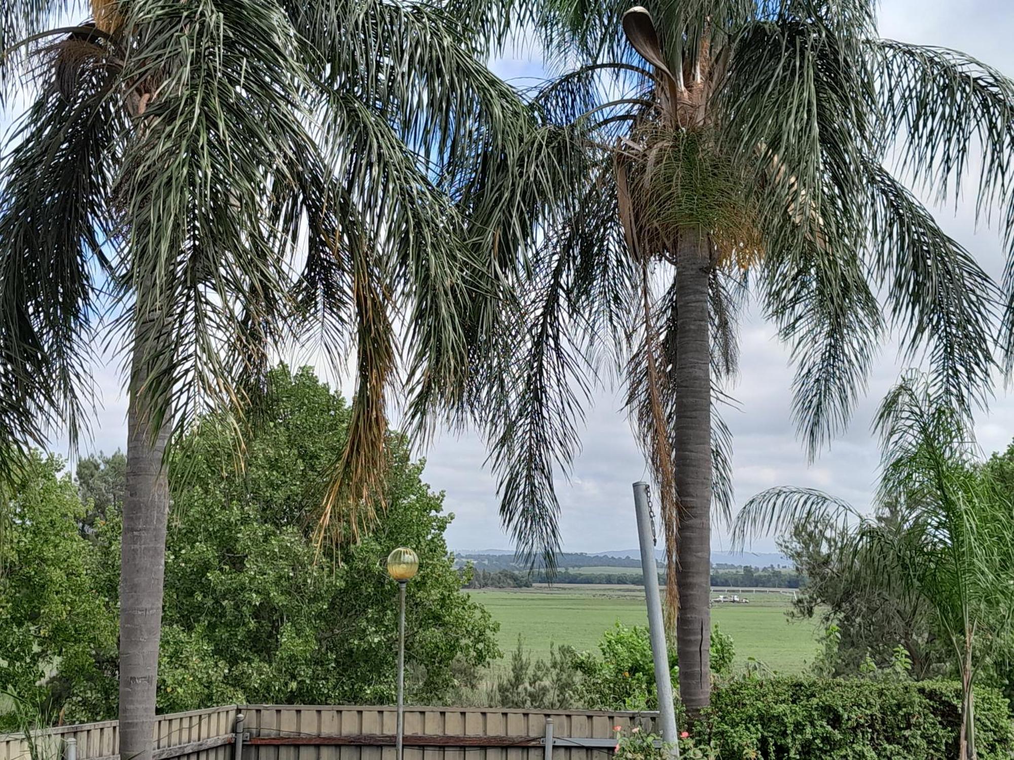 Muswellbrook Northside Bed & Breakfast Экстерьер фото