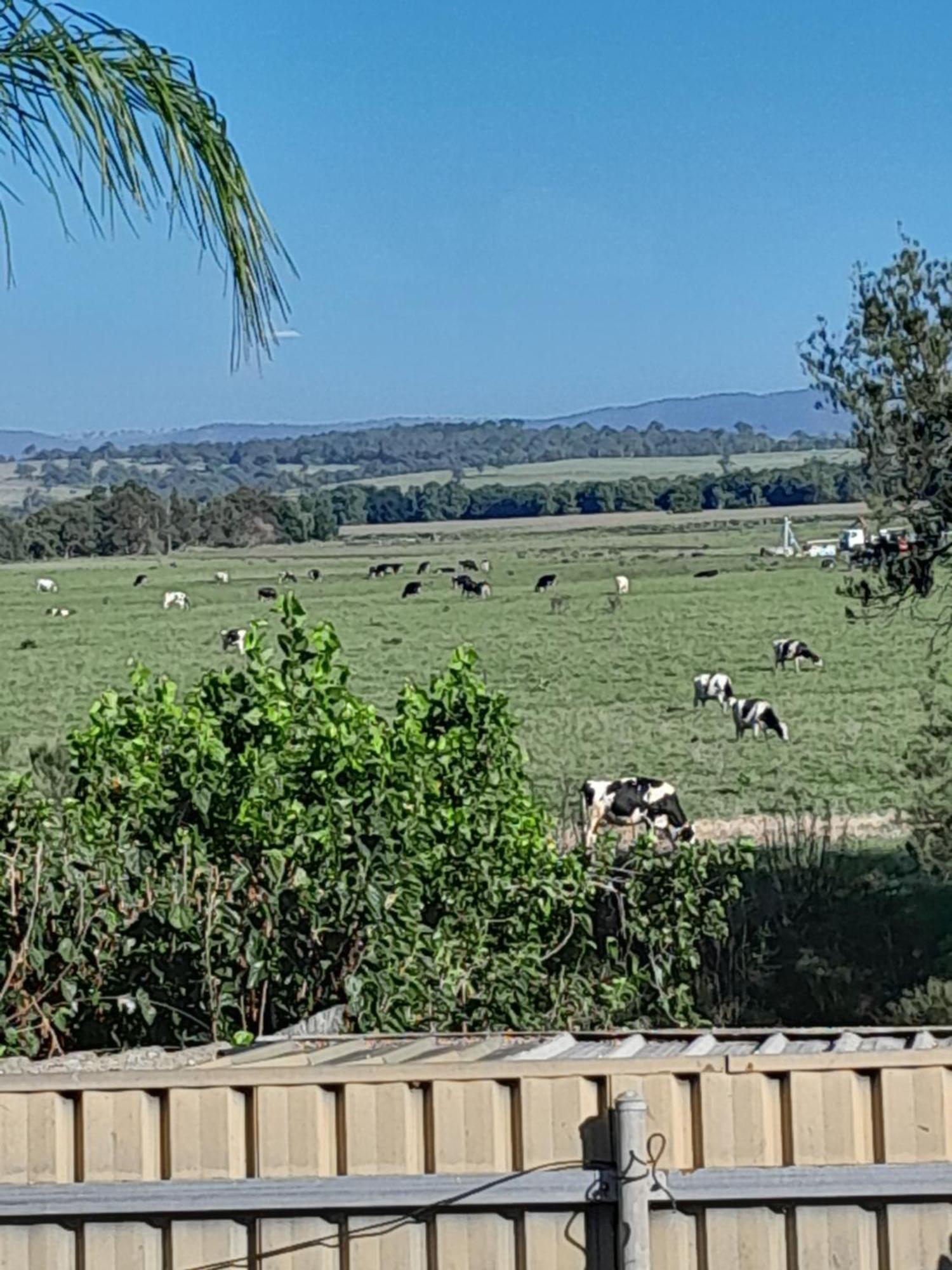 Muswellbrook Northside Bed & Breakfast Экстерьер фото